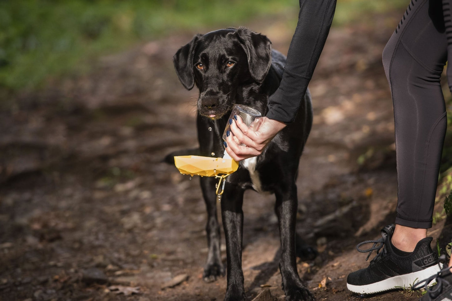 Pet Water Bottle - K&L Trending Products