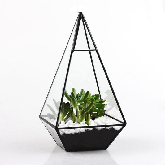 Pyramid Glass Terrarium - K&L Trending Products