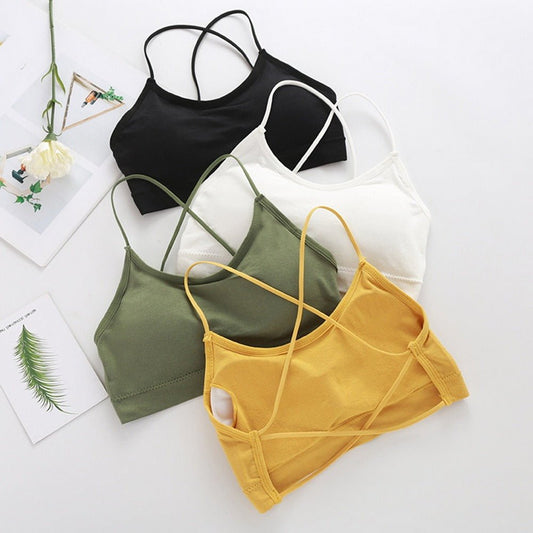 Sexy  Fitness Sports Bra - K&L Trending Products