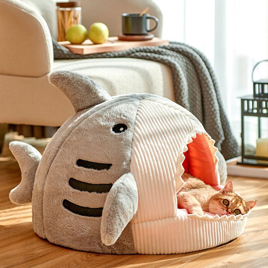 The Shark Pet Bed - K&L Trending Products