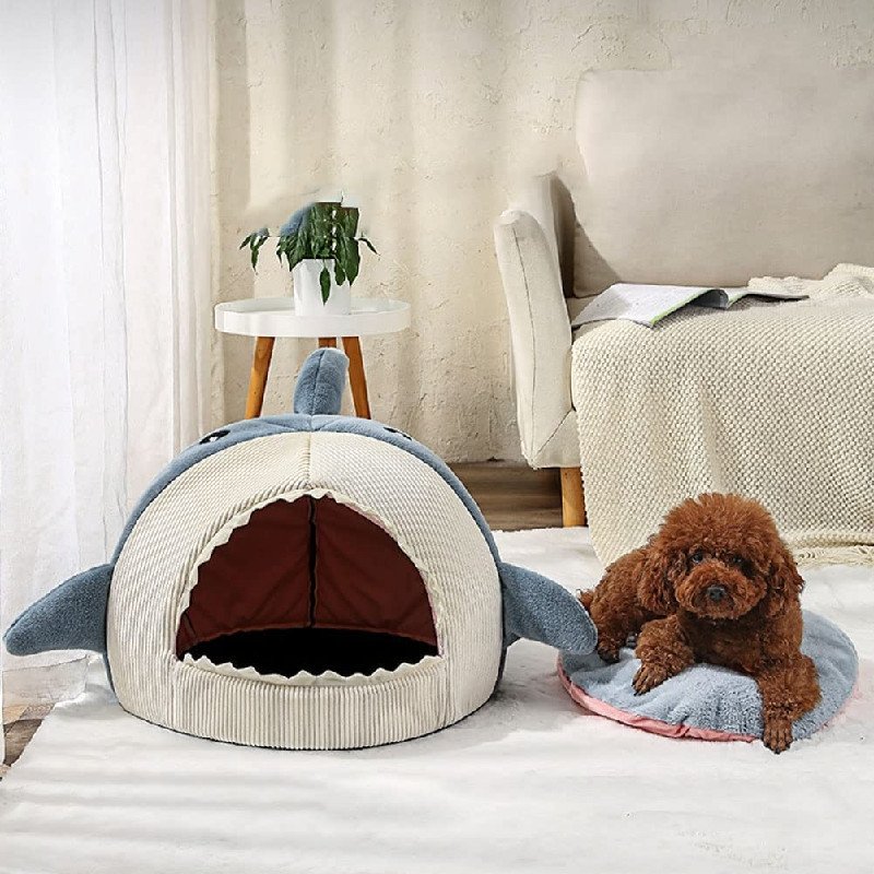 The Shark Pet Bed - K&L Trending Products