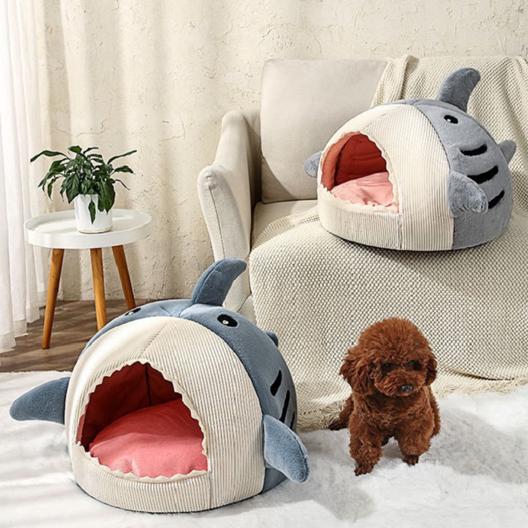 The Shark Pet Bed - K&L Trending Products