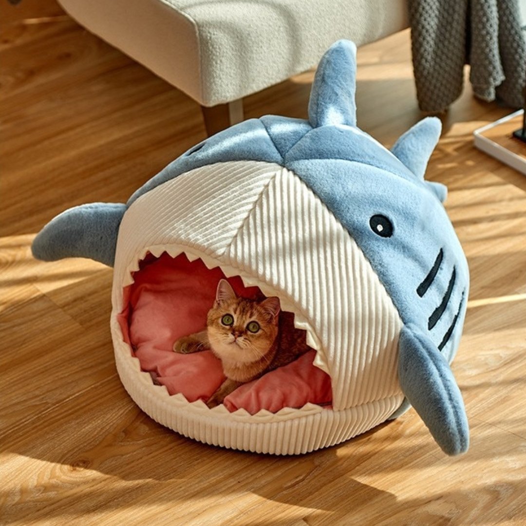 The Shark Pet Bed - K&L Trending Products