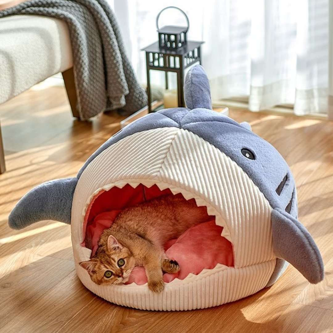 The Shark Pet Bed - K&L Trending Products