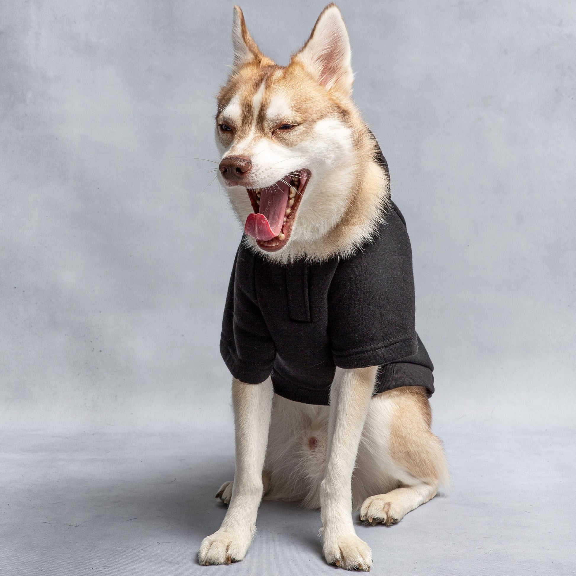 US Army Hooded Dog Fleece - Black - K&L Trending Products